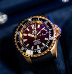 SOLAR AQUA DEEP BAY Bronze Burgundy