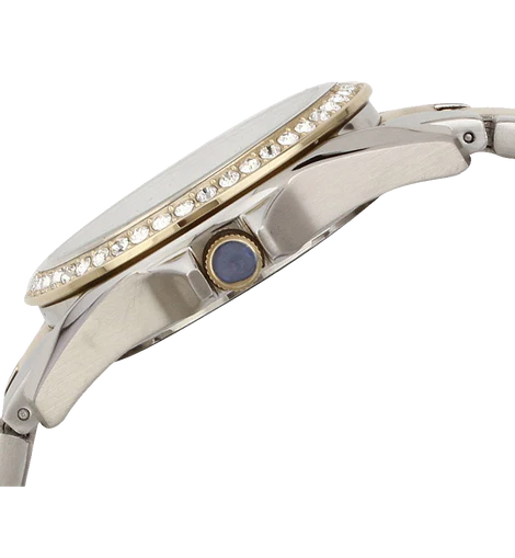 Fossil Womens ES3204 Riley Silver and Gold Tone Watch
