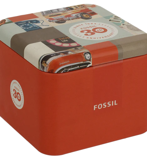 Fossil Womens ES3204 Riley Silver and Gold Tone Watch