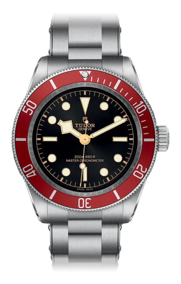 Tudor Black Bay